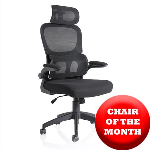 mesh chair of the month